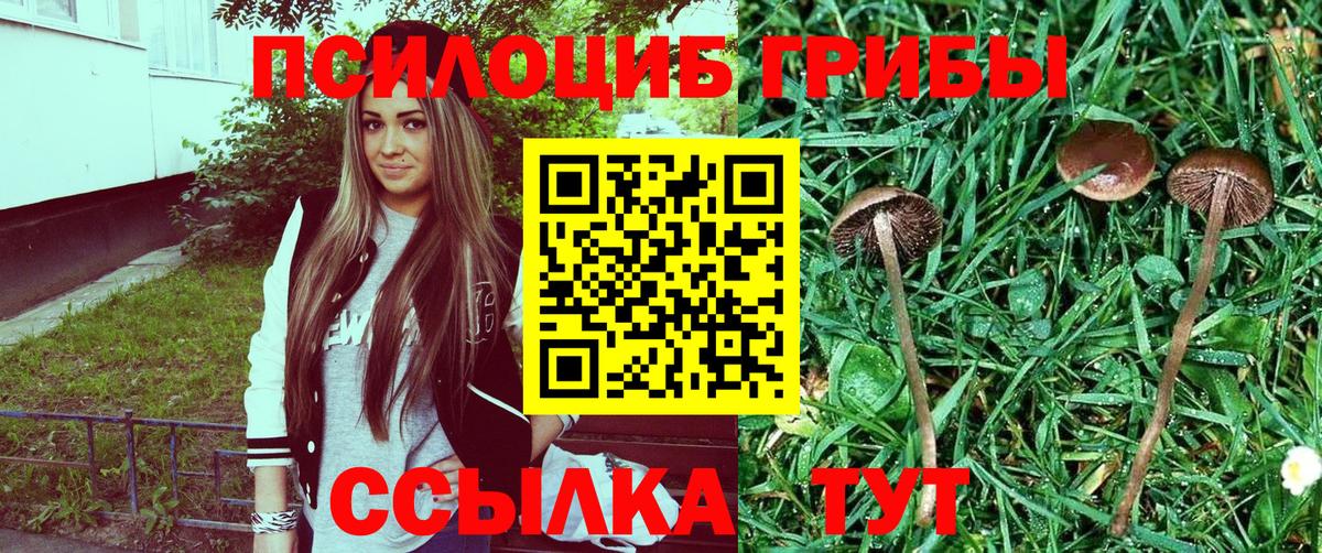 Краснознаменск  Псилоцибиновые грибы ЛСД  Вход с VPN  Псилоцибиновые грибы GOLDEN TEACHER 