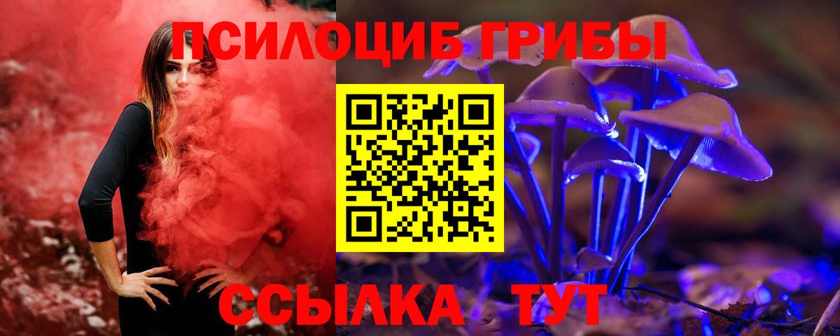 Псилоцибиновые грибы прущие грибы Краснознаменск